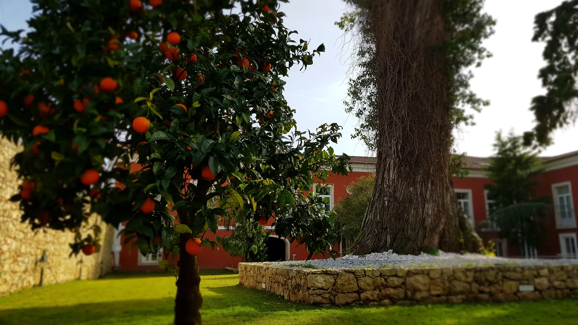 Palacio São Silvestre-Boutique Hotel Coimbra